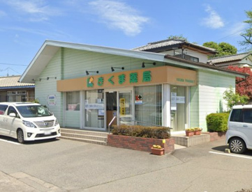 きくま薬局の画像1