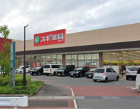 スギドラッグ 前橋小島田店