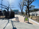 白山公園の画像