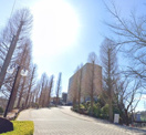 私立和光大学