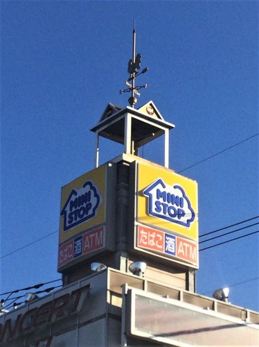 の画像