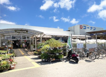 コーナン【伏見大手筋店】