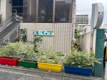 さくらキッズ(熊谷市)の画像1