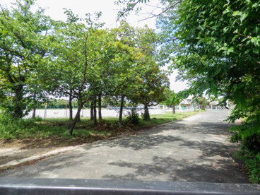 習志野市立秋津小学校の画像2