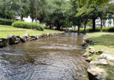 公園 東大宮親水公園