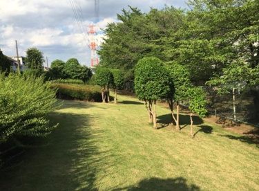 吉田新町緑地の画像1