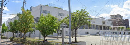 戸田市立芦原小学校の画像1