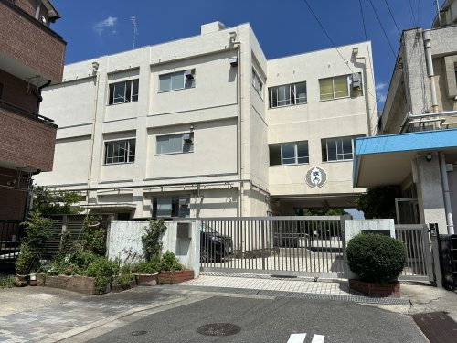 の画像