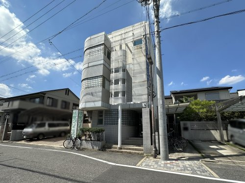 の画像