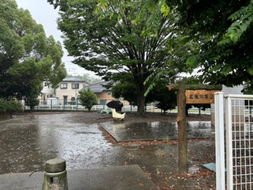 広瀬川原公園の画像1