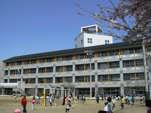 の画像