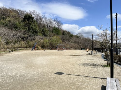 の画像
