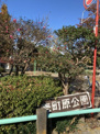 壱町原公園