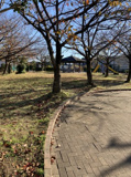 高橋公園