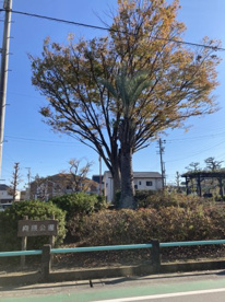向原公園の画像1
