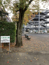 八反田公園の画像1