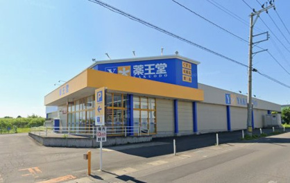 薬王堂 弘前若葉店の画像1