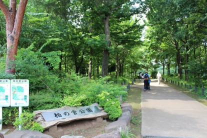 柏の宮公園の画像1
