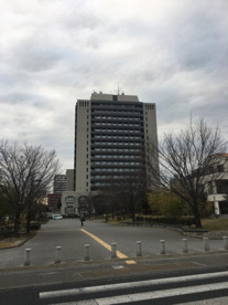 宇都宮市役所の画像3