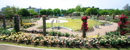 若園公園の画像1