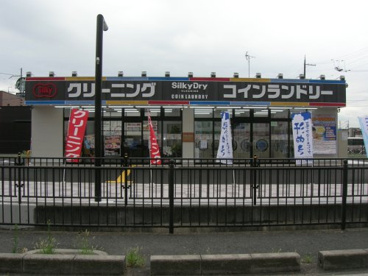 株式会社シルキードライ真砂店の画像1