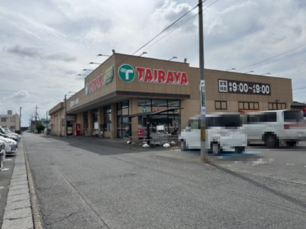 エコス TAIRAYA(タイラヤ) 石下店の画像