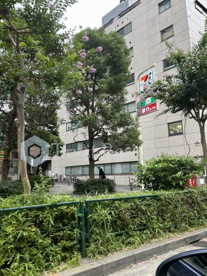 セブンイレブン 十二社店の画像1