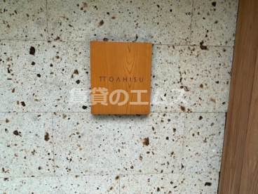 TTOAHISUの画像3