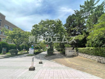 大濠公園の画像2