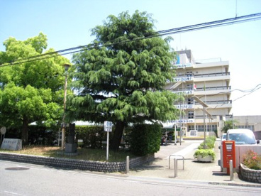 泉大津市役所の画像2