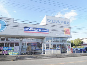 ウエルシア薬局川口峯店の画像1
