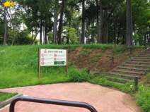 上町ふれあいの森