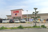 LAMU(ラムー) 大蔵海岸店