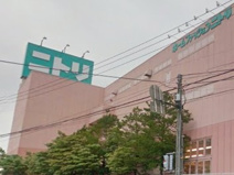 ニトリ秦野店