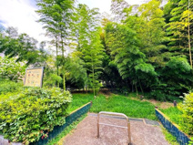 おくらやま憩いの森