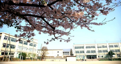 杉並区立東原中学校の画像1