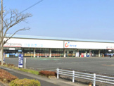 カワチ薬品 加須店