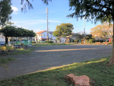 大沢公園の画像1