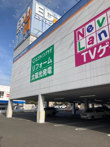 の画像