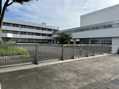 の画像