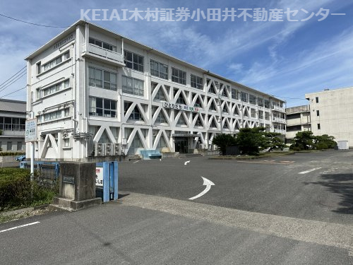 の画像