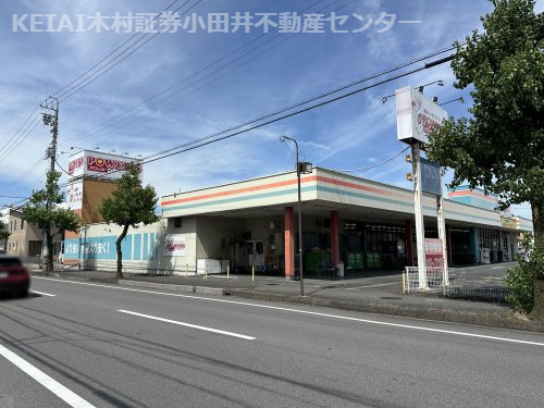 の画像