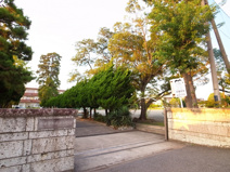 鶴沢小学校