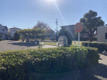 前島上東公園
