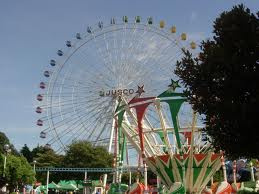 森の遊園地の画像1