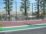 世田谷区立芦花小学校