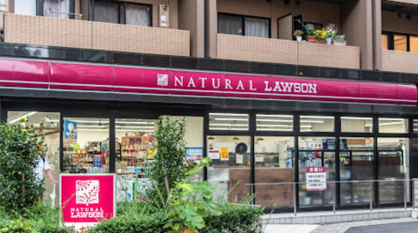 ナチュラルローソン NL南麻布二丁目店の画像1