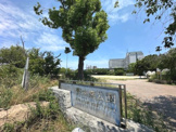 野中南公園