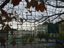 町田市立鶴川第二小学校