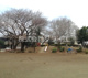新郷公園の画像